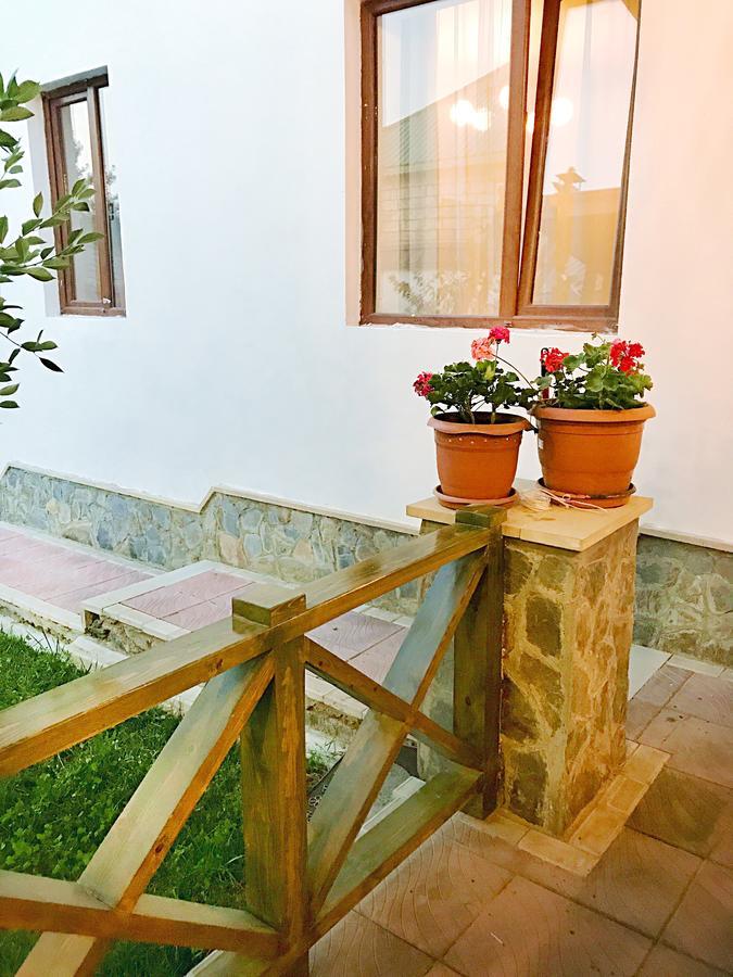 Gabala Sweet Lounge Villa Екстериор снимка